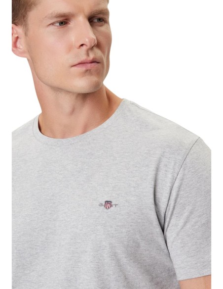 Gant T-Shirt Homme – Gris, style moderne et coton doux