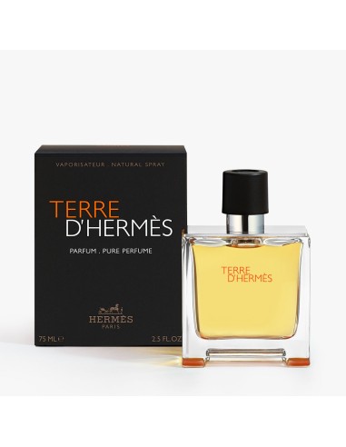HERMÈS Terre d’Hermès | Parfum Boisé & Minéral