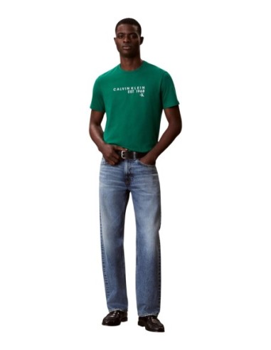 Calvin Klein t-shirt homme vert imprimé – Casual