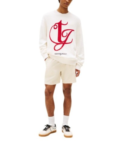 Tommy Hilfiger Jeans pull homme blanc