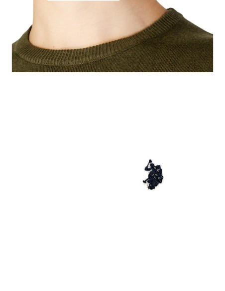Pull homme U.S. Polo Assn. vert