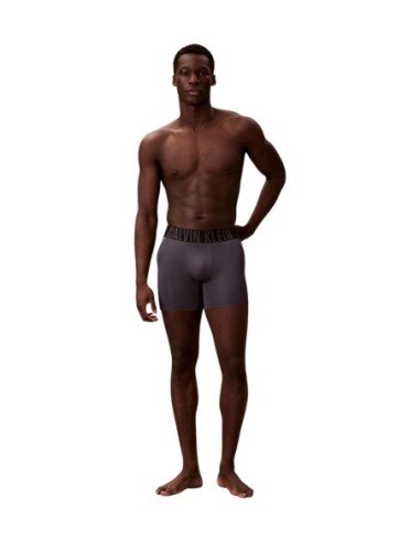 Boxer homme bleu Calvin Klein – lot de 3 polyester