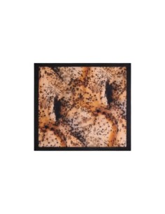 Desigual - Desigual Sciarpa Donna