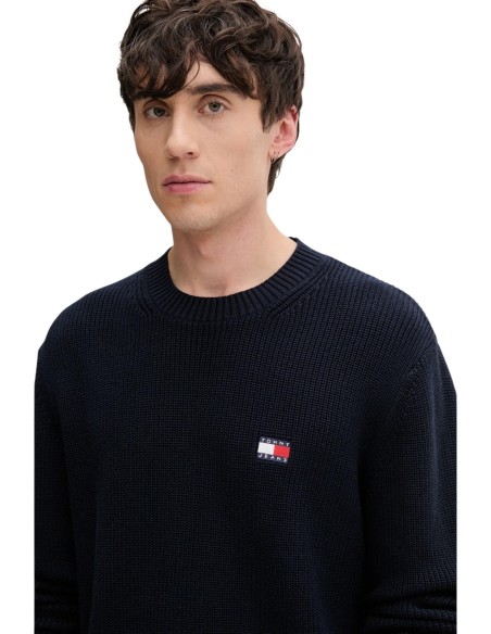 Pull Tommy Hilfiger Homme Bleu | ChoixMode
