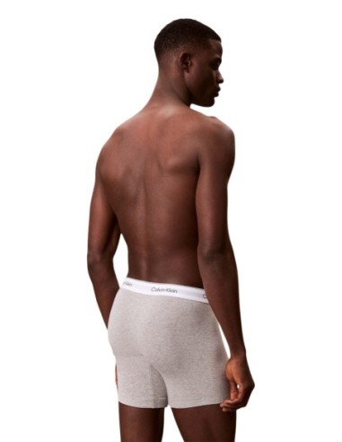 Calvin Klein Underwear lot 3 boxers roses imprimés | ChoixMode