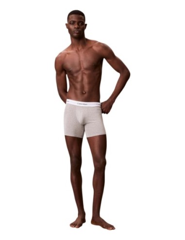 Calvin Klein Underwear lot 3 boxers roses imprimés | ChoixMode