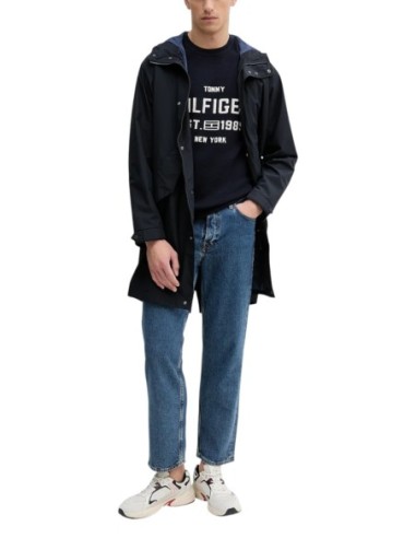 Tommy Hilfiger Pull Homme bleu – Style graphique