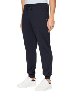 Tommy Hilfiger Pantalon Homme bleu – Style casual